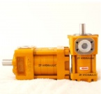 Low pressure internal gear pump NT2-C20F
